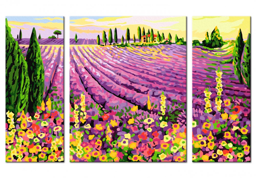 Paint by numbers lavender field