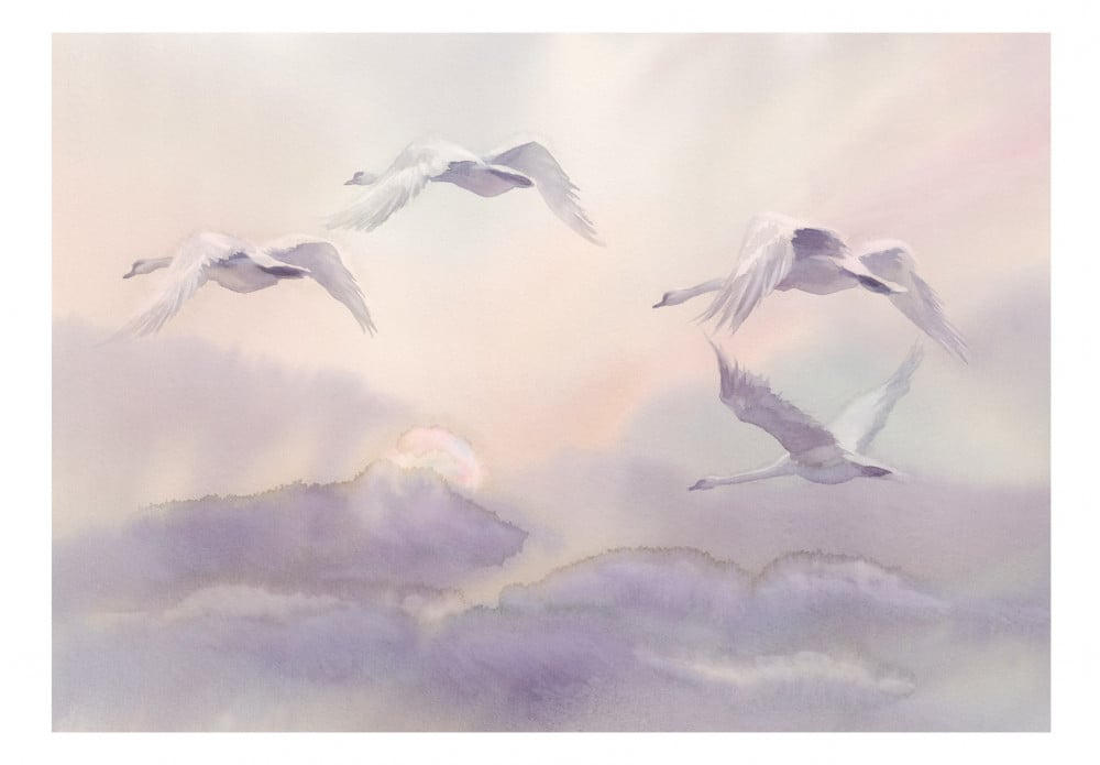 Flying Swans